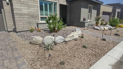 Xeriscaping Photo