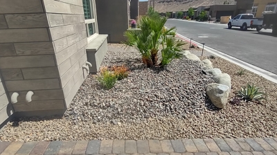 Xeriscaping Photo
