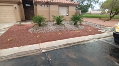Xeriscaping Photo