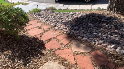 Landscape Design Photo