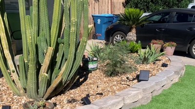 Landscaping and Artificial Turf Photo