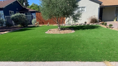 Artificial Grass Photo