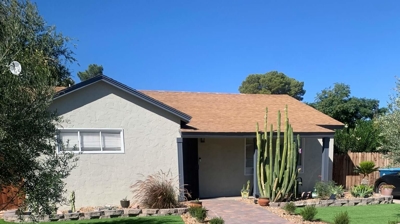 Artificial Grass Photo