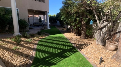 Artificial Grass Photo