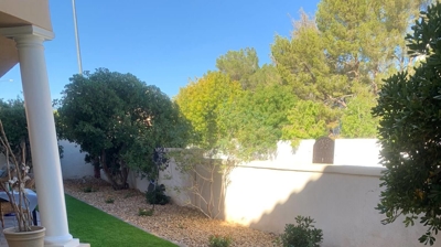 Artificial Grass Photo