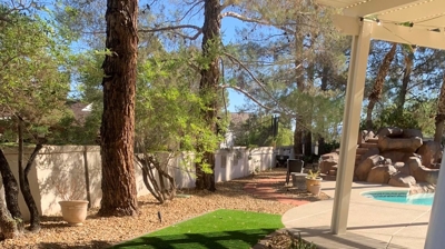 Artificial Grass and Landscaping Photo