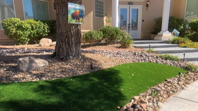 Artificial Grass Photo