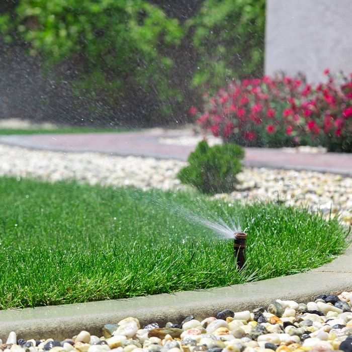 Irrigation Services